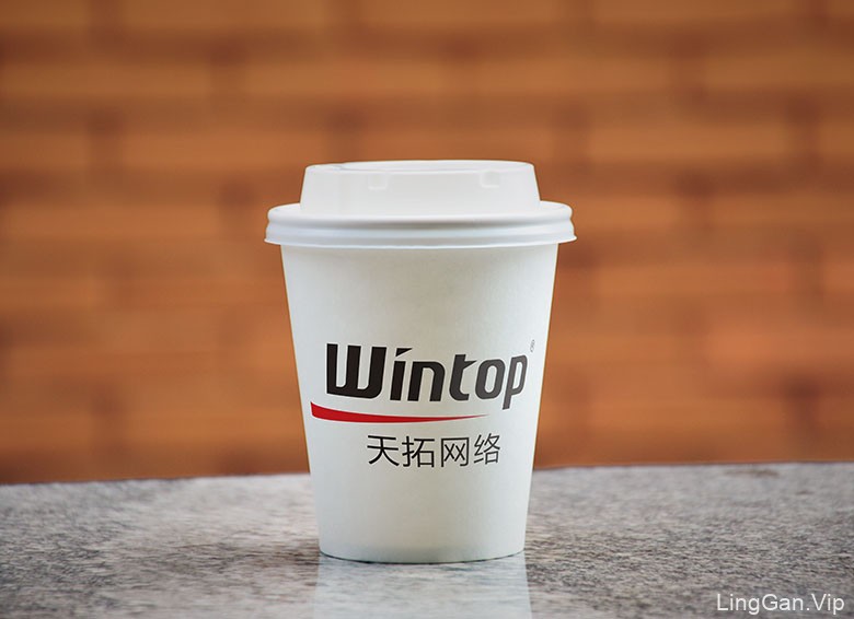 Wintop（天拓）软件服务品牌形象设计欣赏