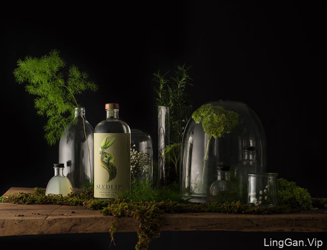 国外Seedlip植物草药饮料系列精美包装设计作品