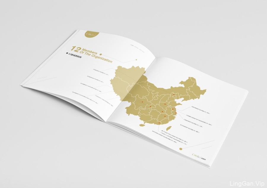 企业评估的画册设计CHINA-CAA
