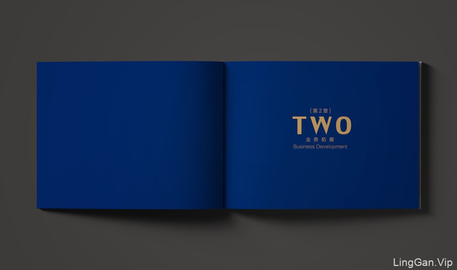 天龙集团-Tian Long Group集团企业画册初稿设计