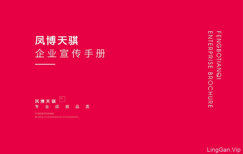 凤博天骐企业宣传手册设计