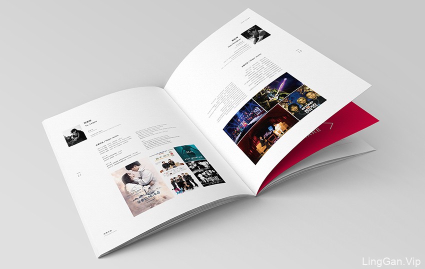 凤博天骐企业宣传手册设计
