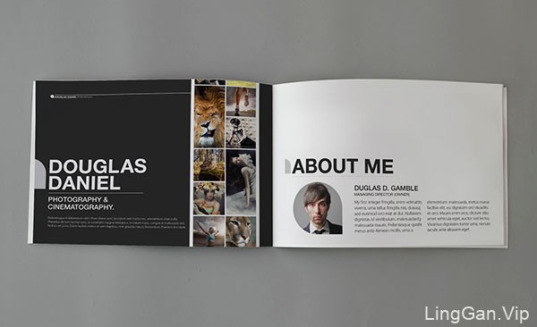 国外设计师LisbelCruz黑白风格的摄影画册设计模板