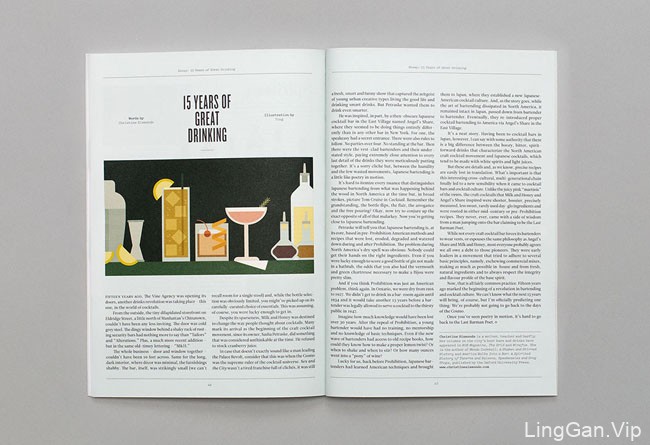 2015欧美风格的The Vine葡萄酒15周年画册设计