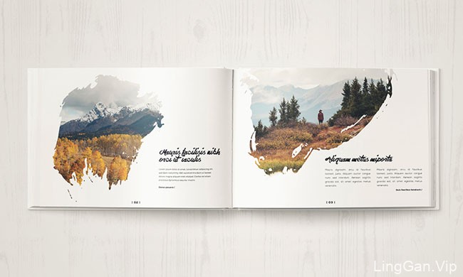 俄罗斯Shap Shapy笔刷风格的画册设计分享