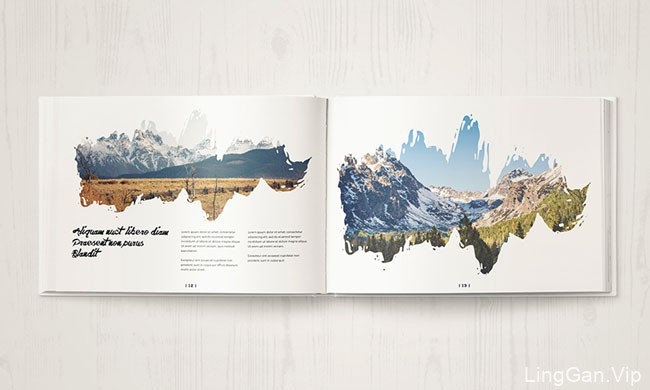 俄罗斯Shap Shapy笔刷风格的画册设计分享