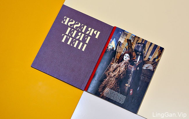 欧美风格的Pressefreiheit创意时尚画册设计分享