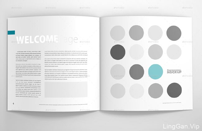 美国设计师Graphic Assets画册模版设计