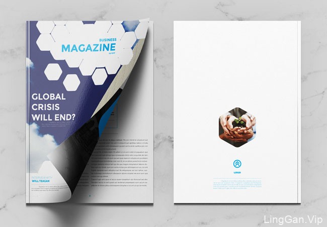 国外运用六边形元素的商务杂志模版设计