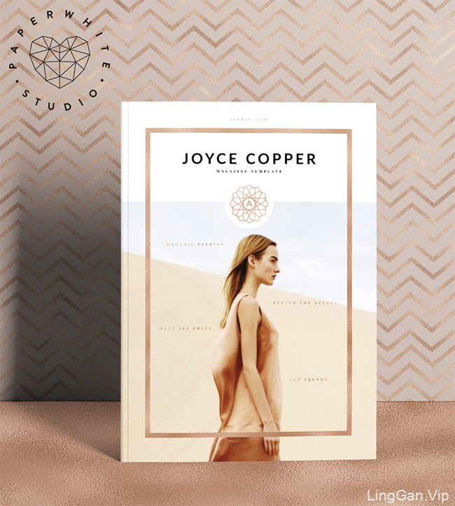 国外青铜色系的JOYCE Copper杂志模版设计作品
