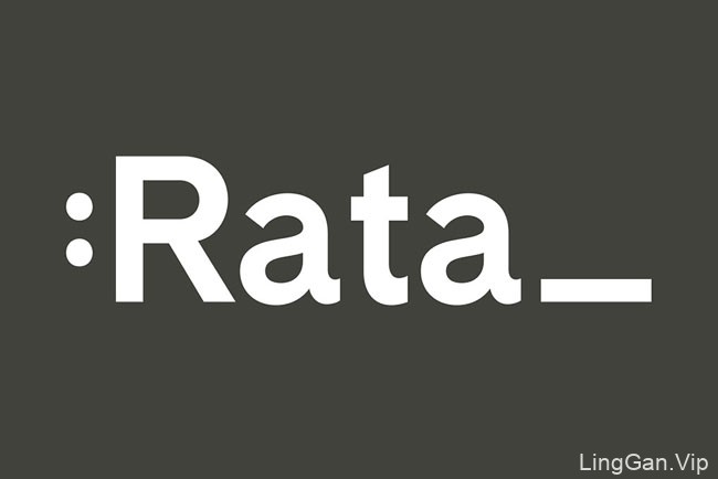 国外Rata系列精美书籍设计作品