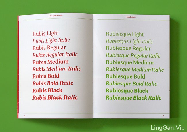 国外Rubis & Rubiesque字体字样书籍设计作品