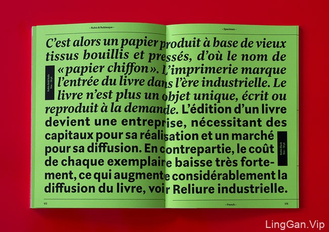 国外Rubis & Rubiesque字体字样书籍设计作品