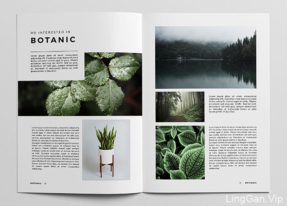 简洁美观的Botanic植物杂志模版设计作品