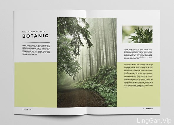 简洁美观的Botanic植物杂志模版设计作品