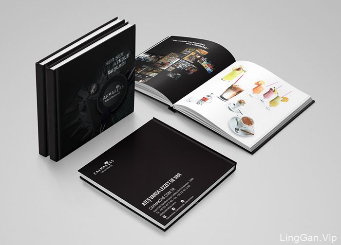 Merih Sejkic饮食类目录画册设计作品