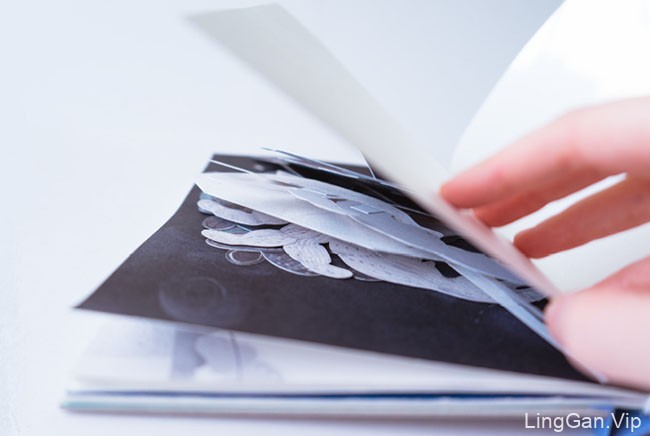 俄罗斯Mary Komary弹出式立体创意书籍设计作品