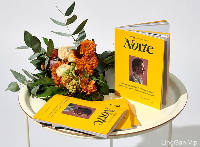 Norte室内装饰商店宣传手册设计