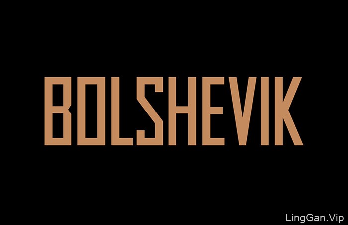 BOLSHEVIK地产项目画册设计作品