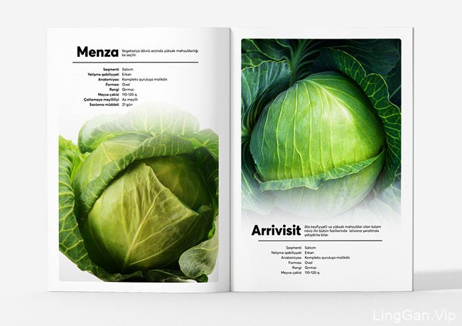 清新的蔬果品牌目录画册案例