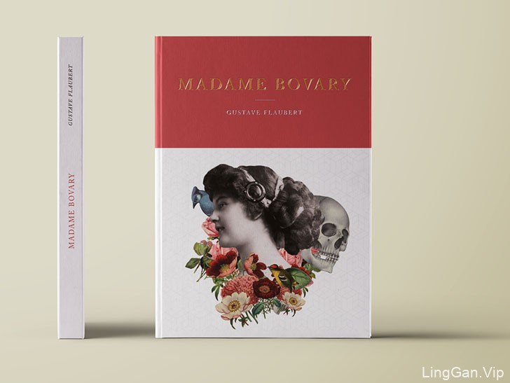哥伦比亚Rita Baron世界文学类书籍封面设计