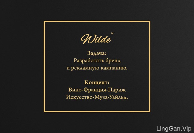 国外欧美风格的Wilde红酒企业品牌形象Vi设计