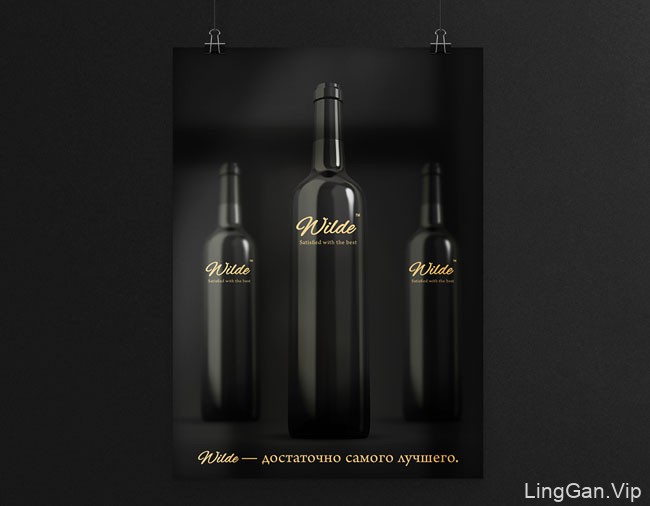 国外欧美风格的Wilde红酒企业品牌形象Vi设计