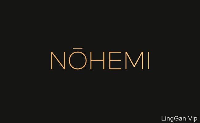 国外Nohemi时装零售品牌VI形象设计