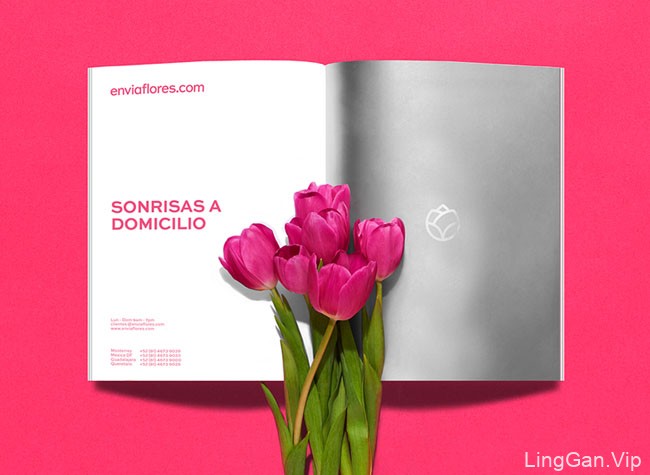 国外Enviaflores鲜花礼品品牌形象设计