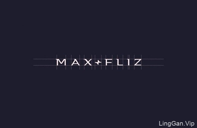 波兰Max-Fliz室内设计公司品牌vi设计