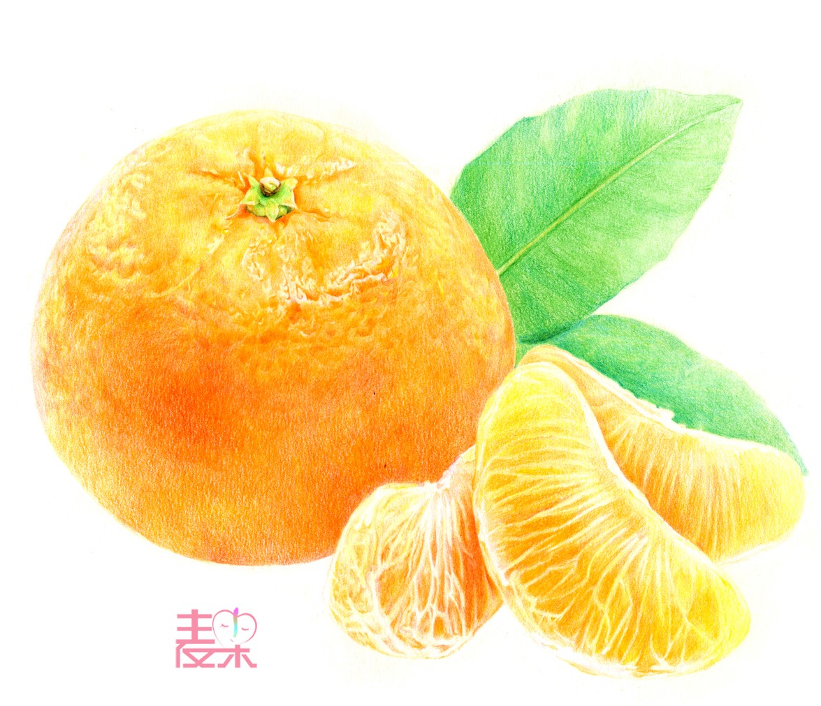 《你也可以画得很美》—果蔬 橘子