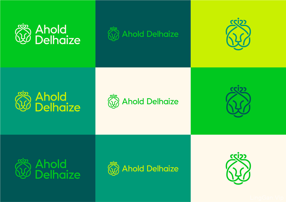 欧洲超市零售巨头Ahold Delhaize集团形象设计