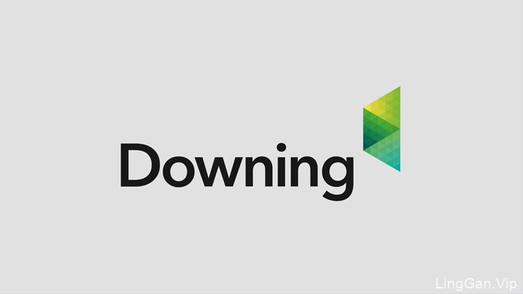 英国新能源集团Downing品牌形象设计